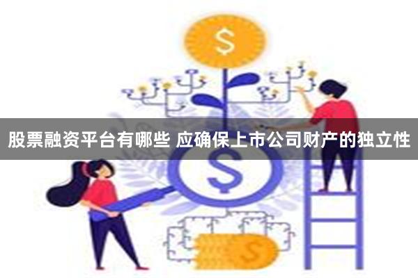 股票融资平台有哪些 应确保上市公司财产的独立性