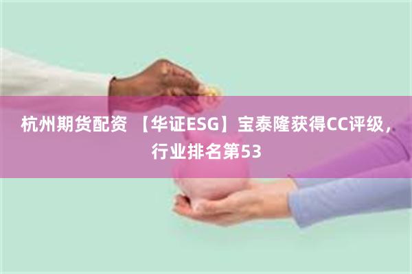 杭州期货配资 【华证ESG】宝泰隆获得CC评级，行业排名第53