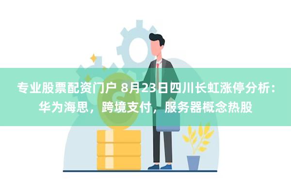 专业股票配资门户 8月23日四川长虹涨停分析：华为海思，跨境支付，服务器概念热股