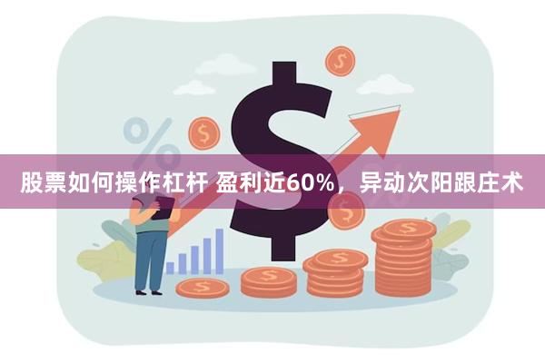 股票如何操作杠杆 盈利近60%，异动次阳跟庄术