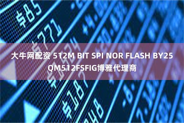 大牛网配资 512M BIT SPI NOR FLASH BY25QM512FSFIG博雅代理商