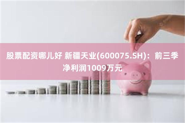 股票配资哪儿好 新疆天业(600075.SH)：前三季净利润1009万元