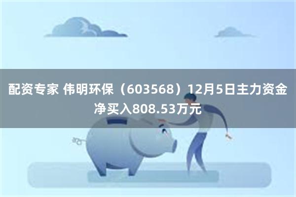 配资专家 伟明环保（603568）12月5日主力资金净买入808.53万元