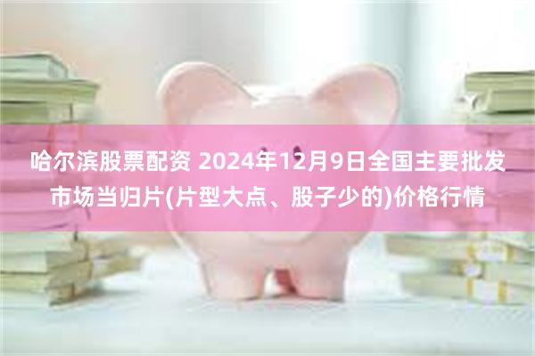 哈尔滨股票配资 2024年12月9日全国主要批发市场当归片(片型大点、股子少的)价格行情