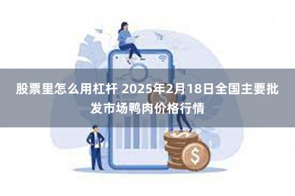 股票里怎么用杠杆 2025年2月18日全国主要批发市场鸭肉价格行情